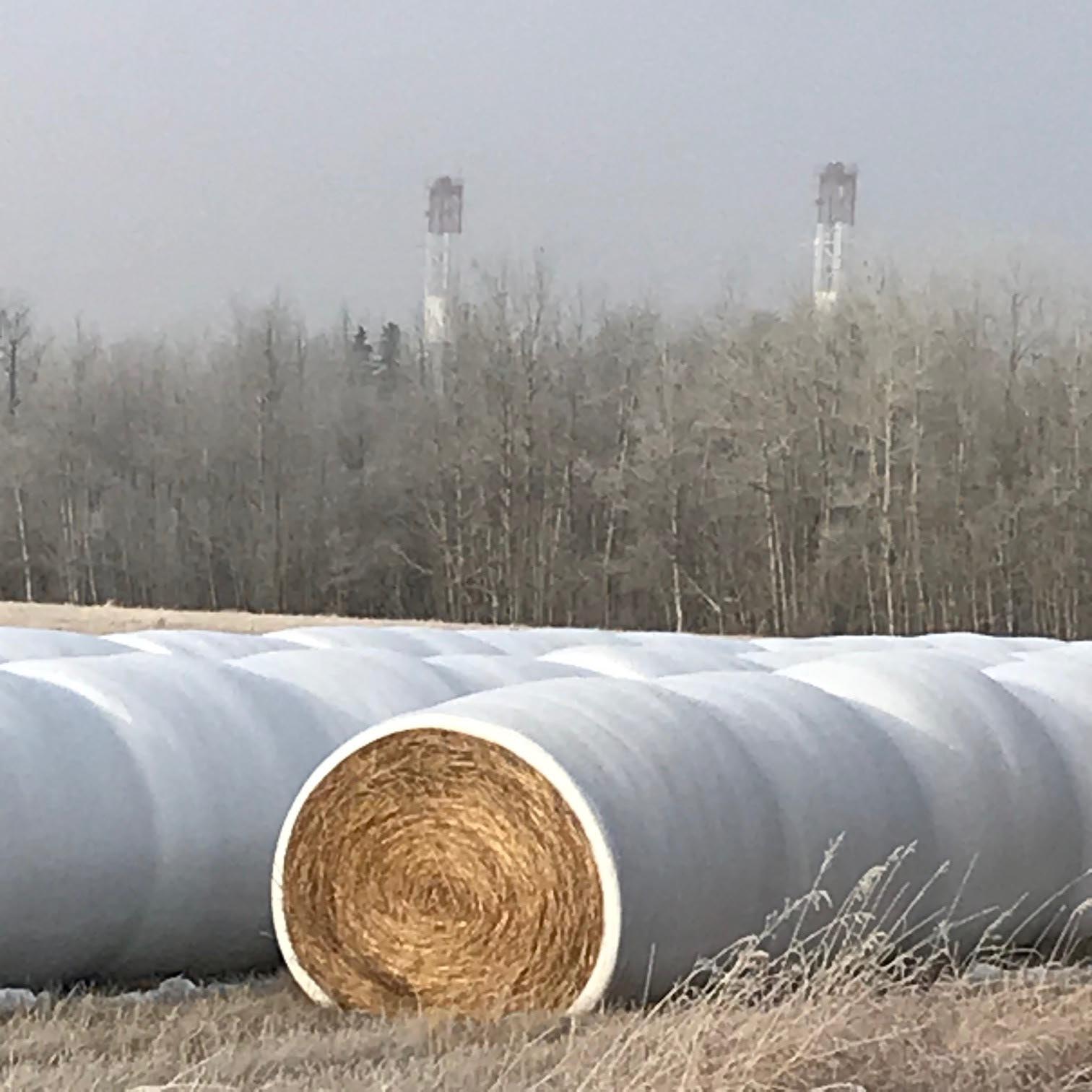 Hay bales in foreground and two rigs in background behind trees.