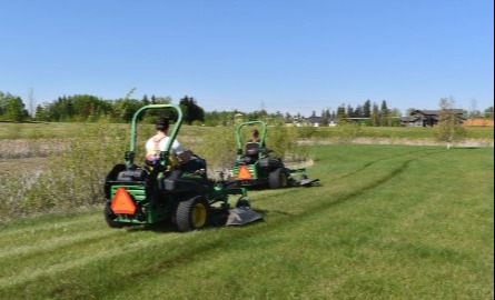 Beautification Mowing   