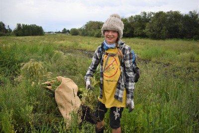 Weed warrior holding mayweed